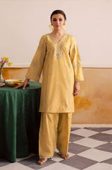 SUMMER-2PC LAWN EMBROIDERED SHIRT WITH TROUSER-149