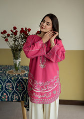 WINTER-2PIECE DHANAK EMBROIDERED SHIRT WITH DHANAK EMB TROUSER-15111