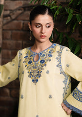 WINTER-2PIECE DHANAK EMBROIDERED SHIRT WITH DHANAK EMB TROUSER-15109