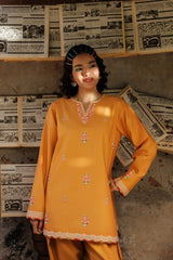WINTER-2PIECE DHANAK EMBROIDERED SHIRT WITH DHANAK EMB TROUSER-15130