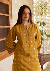 SUMMER-2PC LAWN EMBROIDERED SHIRT WITH TROUSER-196