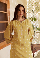 SUMMER-2PC LAWN EMBROIDERED SHIRT WITH TROUSER-199