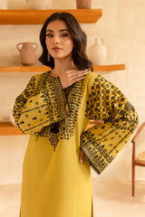 SUMMER-2PC SEQUIN LAWN EMBROIDERED SHIRT WITH SEQUIN LAWN EMBROIDERED TROUSER-3480