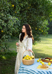 WINTER-3PC DHANAK EMBROIDERED SHIRT WITH DHANAK EMB SHAWL AND TROUSER-5217