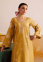 SUMMER-2PC LAWN EMBROIDERED SHIRT WITH TROUSER-156