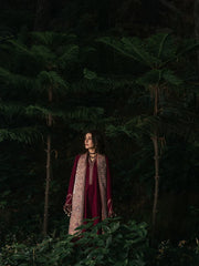 WINTER-3PC DHANAK EMBROIDERED SHIRT WITH COUTRAI PRINTED SHAWL AND TROUSER-5323