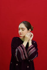 WINTER-2PC VELVET EMBROIDERED SHIRT WITH VELEVT EMBROIDERED SLEEVES-D-19-MICROO-9000