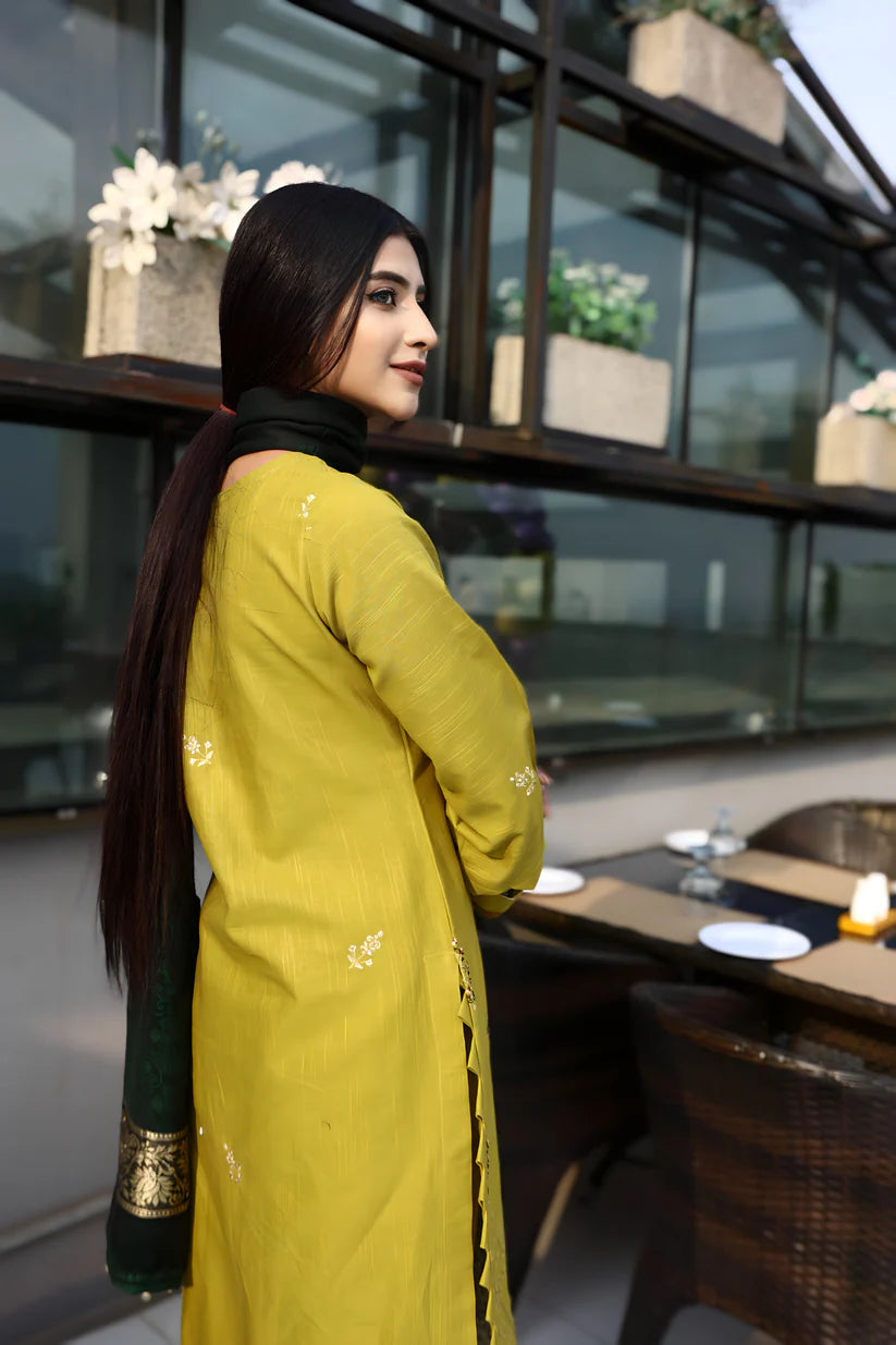 WINTER-3PC KHADDAR CUTWORK EMBROIDERED SHIRT WITH KASHMIRI JACQUARD WOOL SHAWL-1514