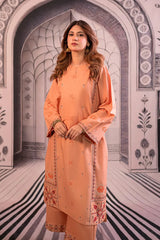SUMMER- 2PC LAWN EMBROIDERED SHIRT AND EMBROIDERED TROUSER-3493