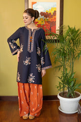WINTER-2PIECE DHANAK EMBROIDERED SHIRT WITH DHANAK EMB TROUSER-15047